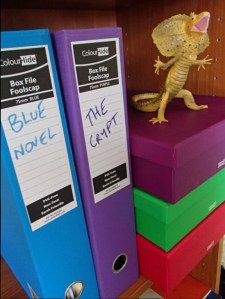 ??????????????????????